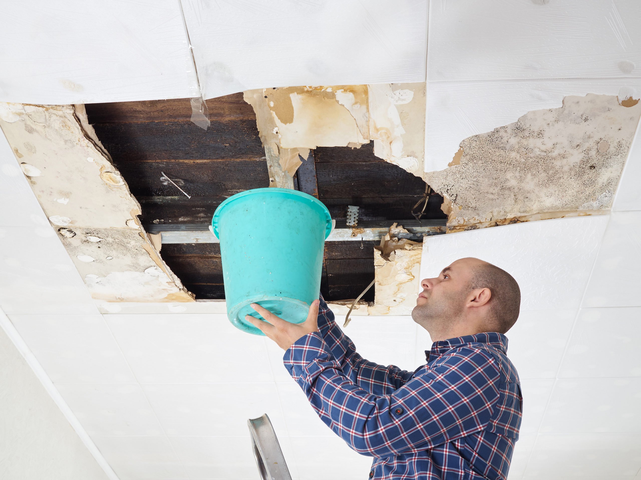 Common Reasons Your Roof May be Leaking 
