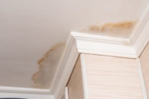 Is your leaky roof making you sick?
