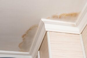 Is your leaky roof making you sick?